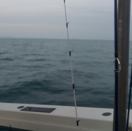 五目釣りで色々釣れました♪