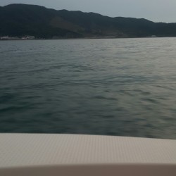 イカ狙いは辛いよ…