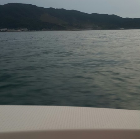 イカ狙いは辛いよ…