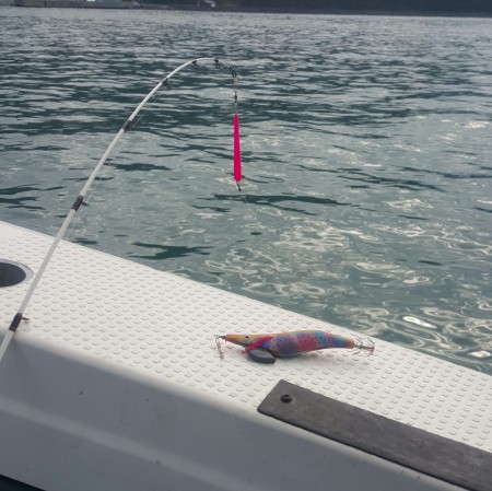 今年最大のメジロGET♪