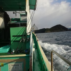 激シブティップラン