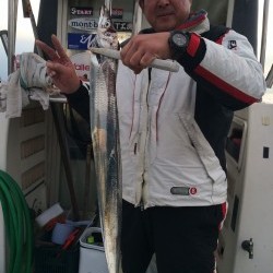 さんさん丸 釣果