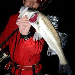 Marine T Design　マリンティーデザイン 釣果