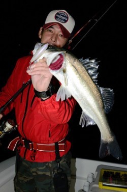 Marine T Design　マリンティーデザイン 釣果