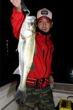 Marine T Design　マリンティーデザイン 釣果