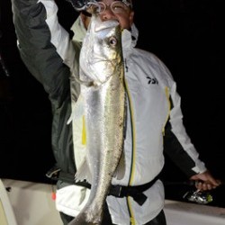 Marine T Design　マリンティーデザイン 釣果