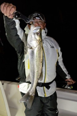 Marine T Design　マリンティーデザイン 釣果