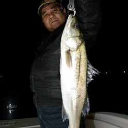 Marine T Design　マリンティーデザイン 釣果