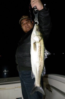 Marine T Design　マリンティ…