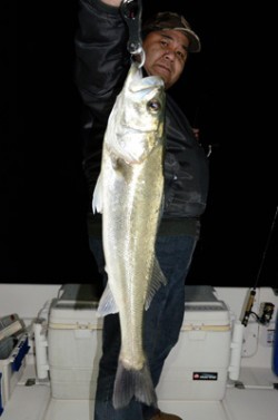 Marine T Design　マリンティーデザイン 釣果