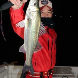 Marine T Design　マリンティーデザイン 釣果