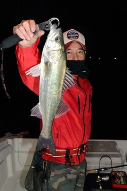 Marine T Design　マリンティーデザイン 釣果