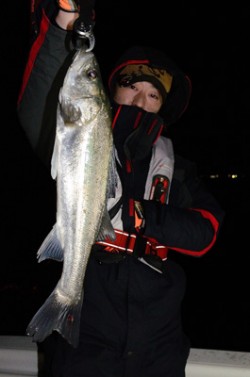 Marine T Design　マリンティ…