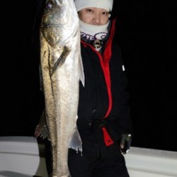 Marine T Design　マリンティーデザイン 釣果