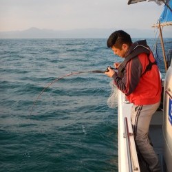 sea boss　シーボス 釣果