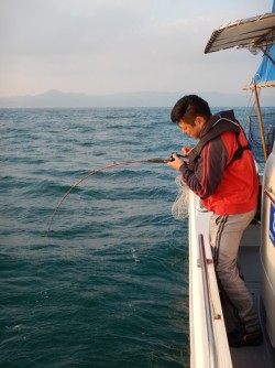 sea boss　シーボス 釣果