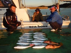 sea boss シーボス 釣果
