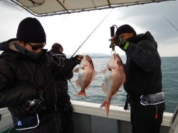 sea boss　シーボス 釣果