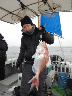 sea boss　シーボス 釣果