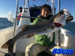 オーシャンマスター 釣果