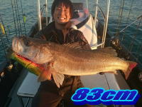 オーシャンマスター 釣果