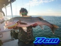 オーシャンマスター 釣果