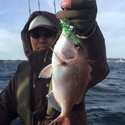 ゲームフィッシング バレントン 釣果