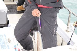 松本釣船２ 釣果