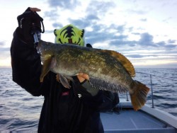 MATSUSHIMA SEANET 釣果