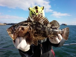 MATSUSHIMA SEANET 釣果