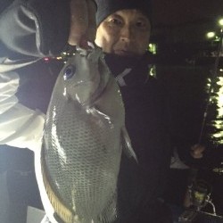 ゲームフィッシング バレントン 釣果