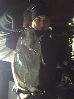 ゲームフィッシング バレントン 釣果