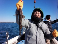 MATSUSHIMA SEANET 釣果