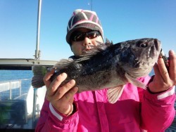 リトルワン 釣果