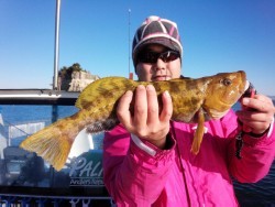 リトルワン 釣果