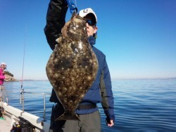 リトルワン 釣果