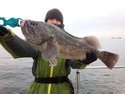 MATSUSHIMA SEANET 釣果