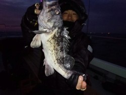 MATSUSHIMA SEANET 釣果