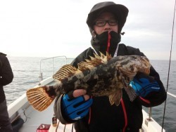 MATSUSHIMA SEANET 釣果