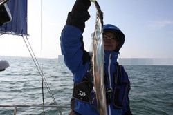 松本釣船２ 釣果