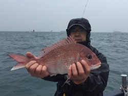 ゲームフィッシング バレントン 釣果