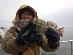 MATSUSHIMA SEANET 釣果