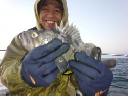 MATSUSHIMA SEANET 釣果