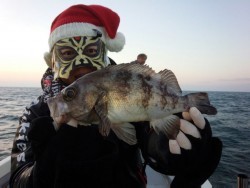 MATSUSHIMA SEANET 釣果