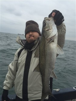 ゲームフィッシング バレントン 釣果