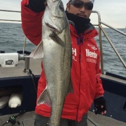 ゲームフィッシング バレントン 釣果