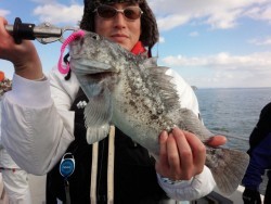 MATSUSHIMA SEANET 釣果