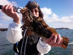 MATSUSHIMA SEANET 釣果