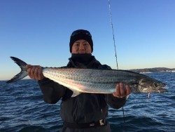 ゲームフィッシング バレントン 釣果