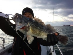 MATSUSHIMA SEANET 釣果